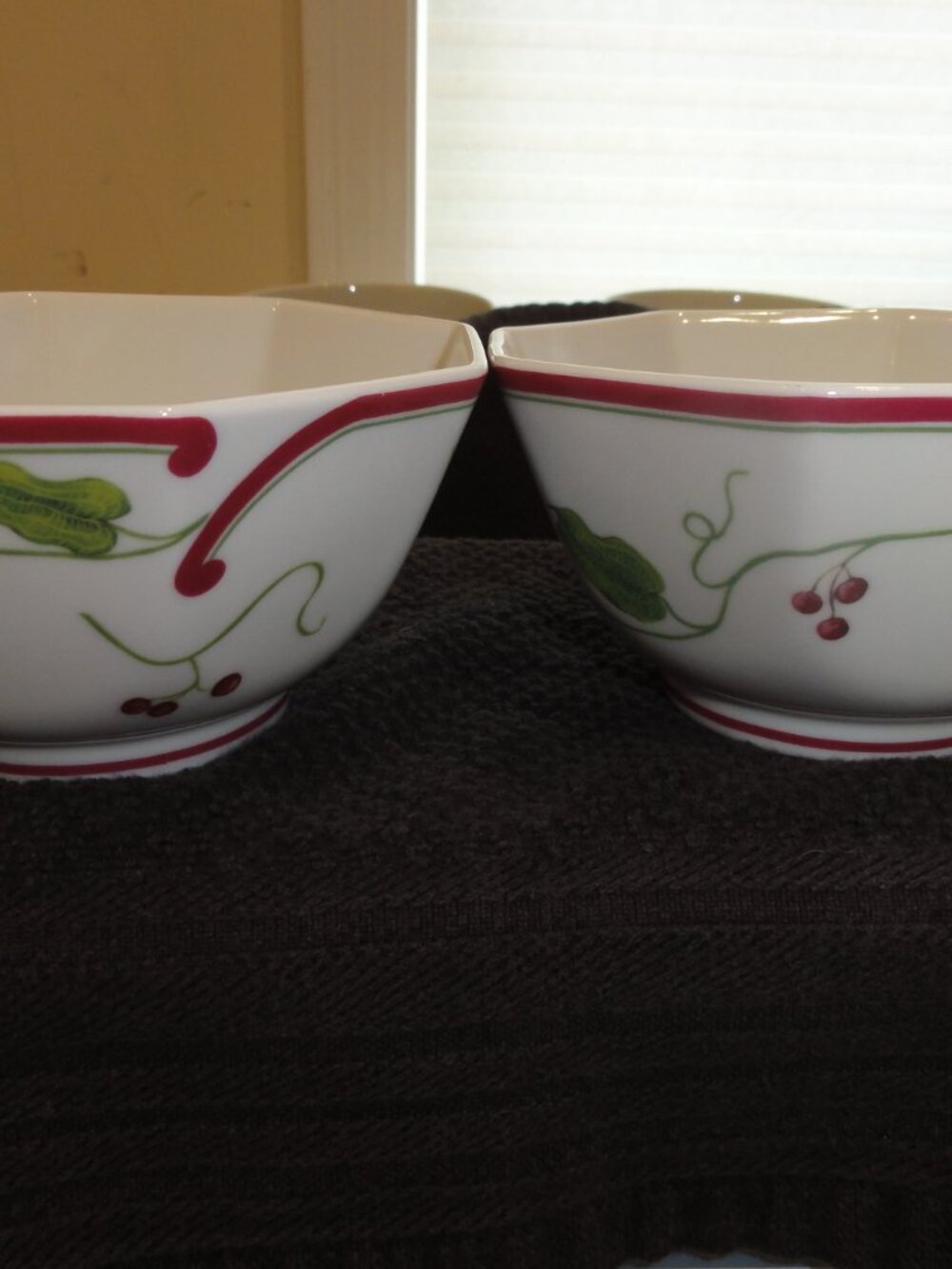 Lynn Chase Parrots of Paradise 5" Octagon Bowls - Set of Two VERY GOOD CONDITION